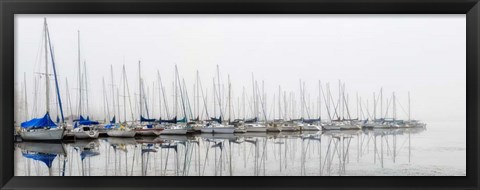 Framed Sailing Boats Panel Print