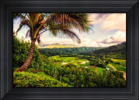 Framed Morning in Paradise Print