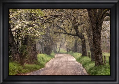 Framed Nature Trail Walks Print
