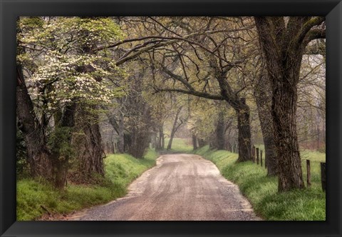 Framed Nature Trail Walks Print