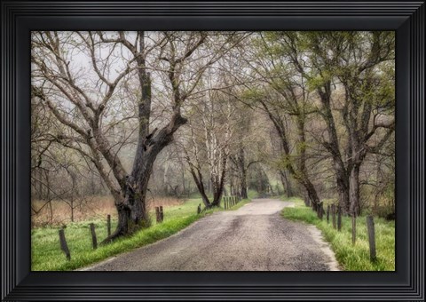 Framed Late Afternoon Walk Print