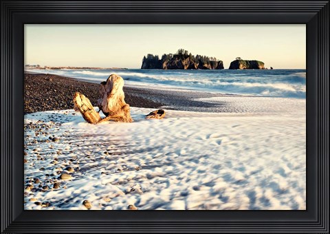 Framed Washed on Shore Print