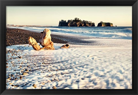 Framed Washed on Shore Print