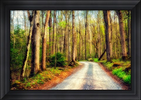 Framed Wood Path Print