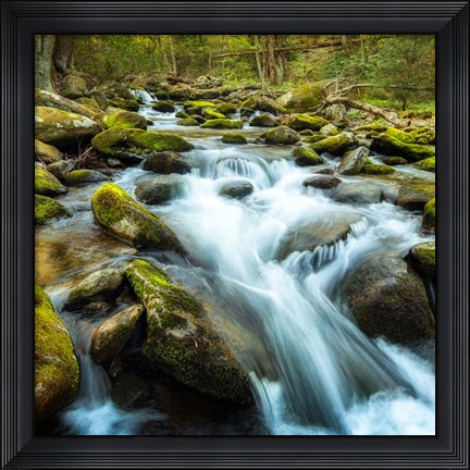 Framed Forest River Print