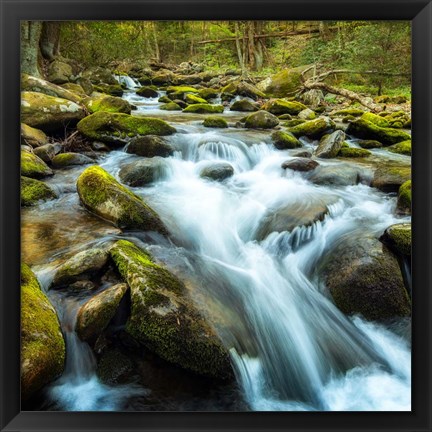 Framed Forest River Print