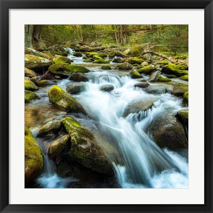 Framed Forest River Print