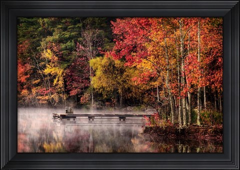 Framed Woodland Dock Print