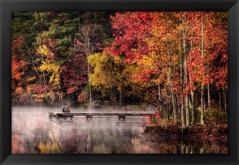 Framed Woodland Dock Print