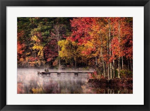 Framed Woodland Dock Print