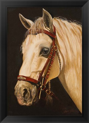 Framed Horse Print