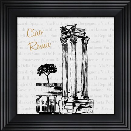 Framed Travel Pack III Print