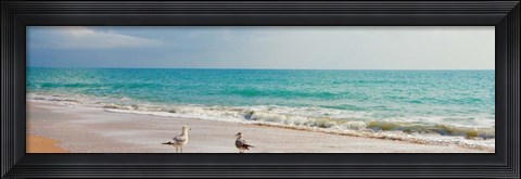 Framed Island Memories II Print