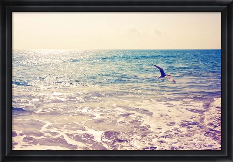 Framed Fly Away Print