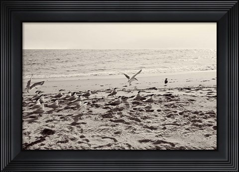 Framed Dream of the Beach II Print