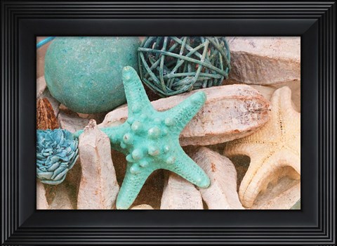 Framed Bundle of Shells I Print