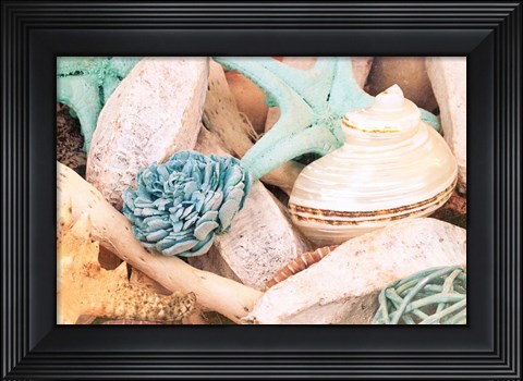 Framed Bundle of Shells II Print