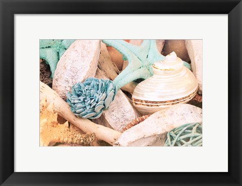 Framed Bundle of Shells II Print