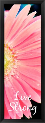 Framed Live Strong Daisy Print