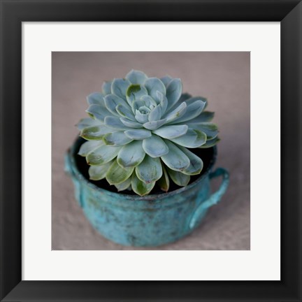 Framed Little Succulent Print