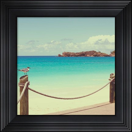 Framed On Deck II Print