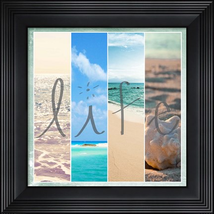 Framed Sea Life Print