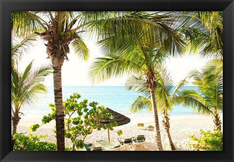 Framed Sitting Under the Palms Print