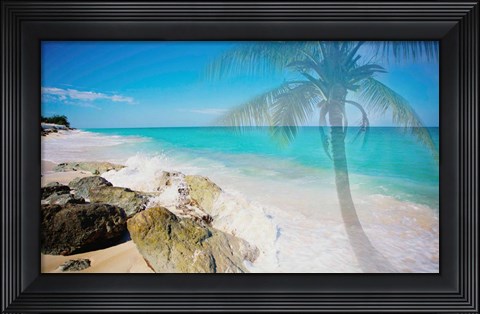 Framed Palm by the Rocks Print