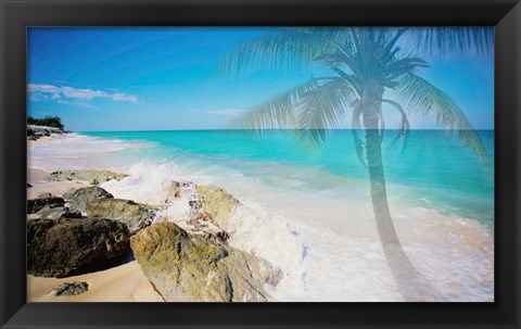 Framed Palm by the Rocks Print