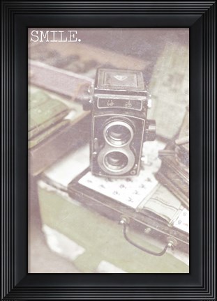 Framed Capture The Moment II Print