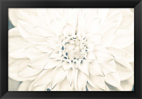 Framed Bright White Bloom I Print