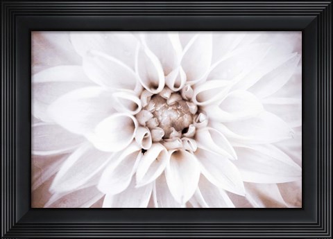 Framed Bright White Bloom II Print
