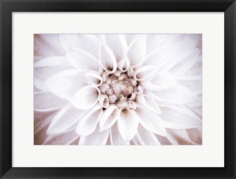 Framed Bright White Bloom II Print