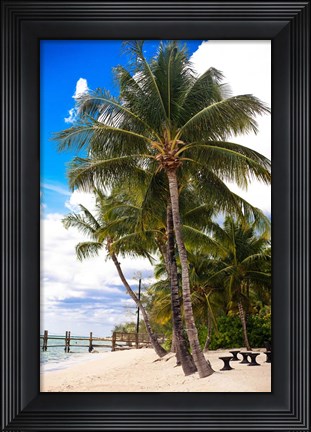 Framed This Is Paradise Print