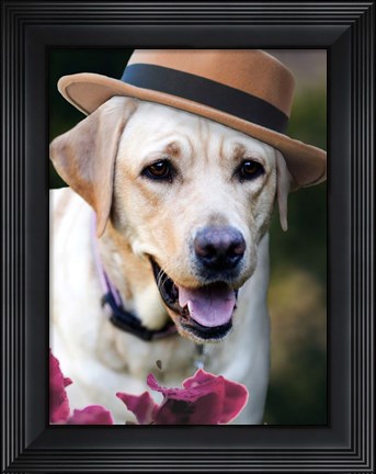 Framed Dapper Dog Print