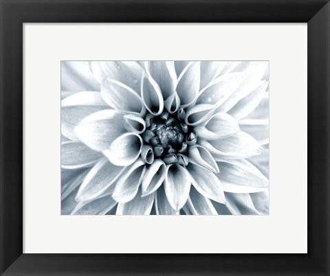 Framed Bright White Bloom Print
