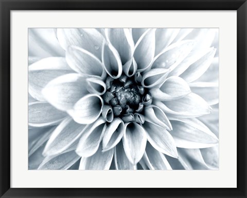 Framed Bright White Bloom Print