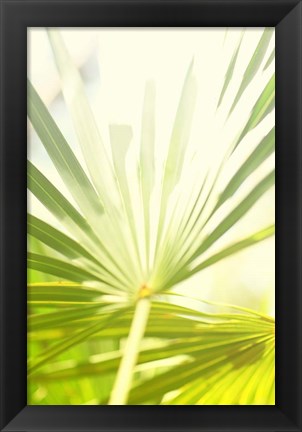 Framed Among Palms I Print