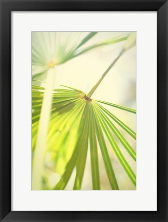 Framed Among Palms II Print