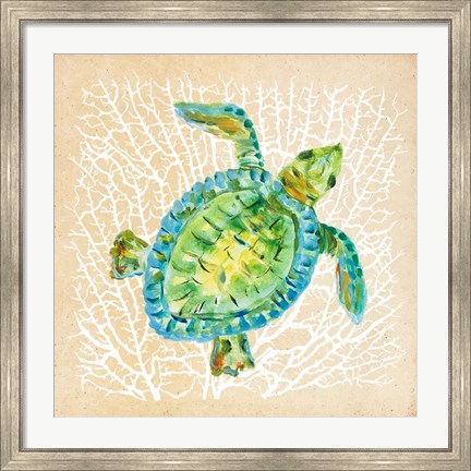 Framed Sealife Turtle Print