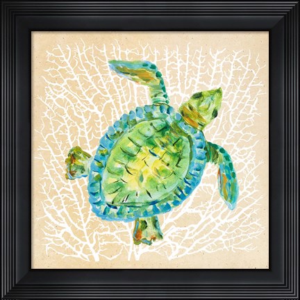 Framed Sealife Turtle Print