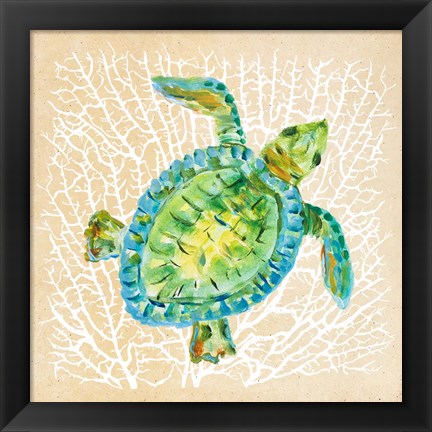 Framed Sealife Turtle Print