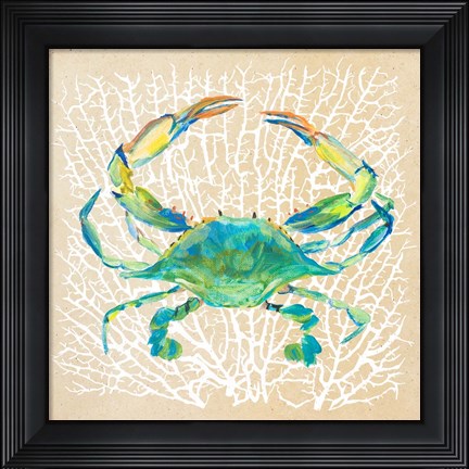 Framed Sealife Crab Print