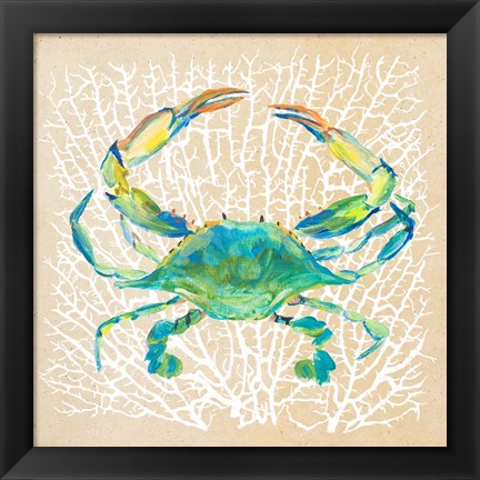 Framed Sealife Crab Print