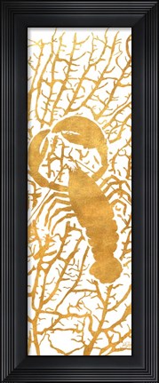 Framed Sealife on Gold II Print
