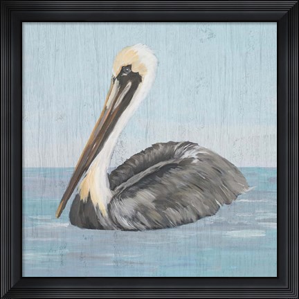 Framed Pelican Wash I Print