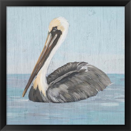 Framed Pelican Wash I Print