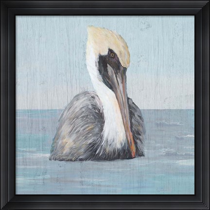 Framed Pelican Wash II Print