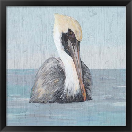 Framed Pelican Wash II Print