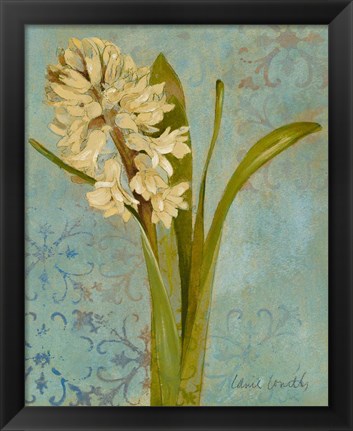 Framed Hyacinth on Teal I Print